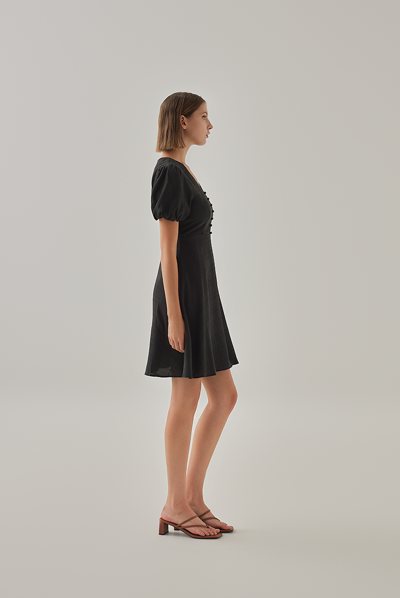 Sherry Puff Sleeve Dress in Black