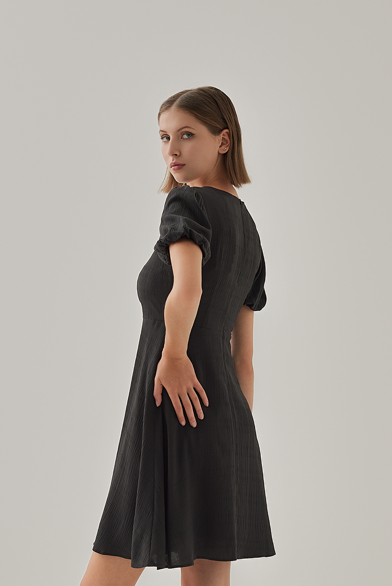 Sherry Puff Sleeve Dress in Black