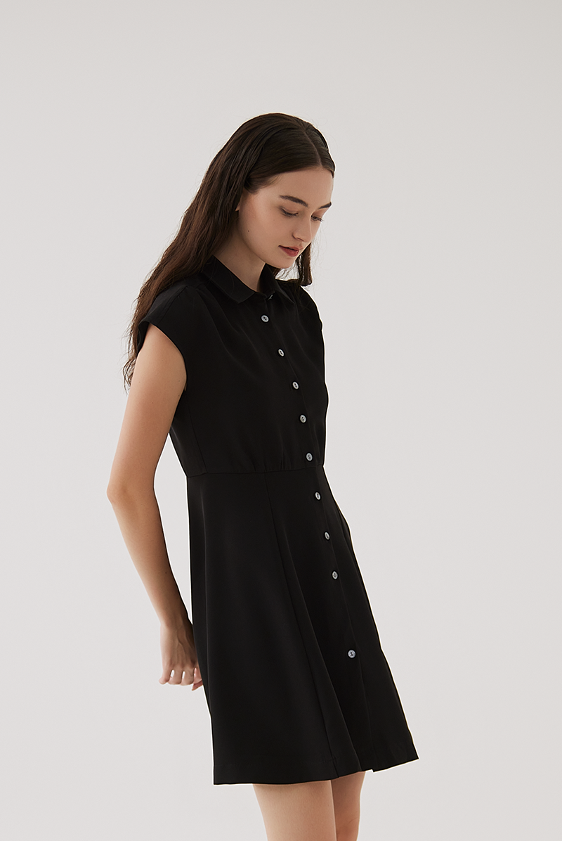 Fawn Cap Sleeves A-Line Dress in Black