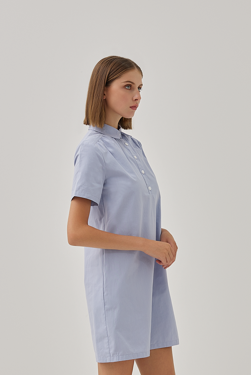 Dana Button Down Collar Shift Dress in Baby Blue