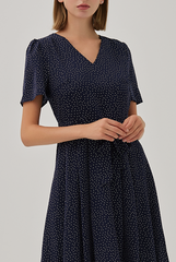 Jill Polka Dot Skater Dress in Navy Blue