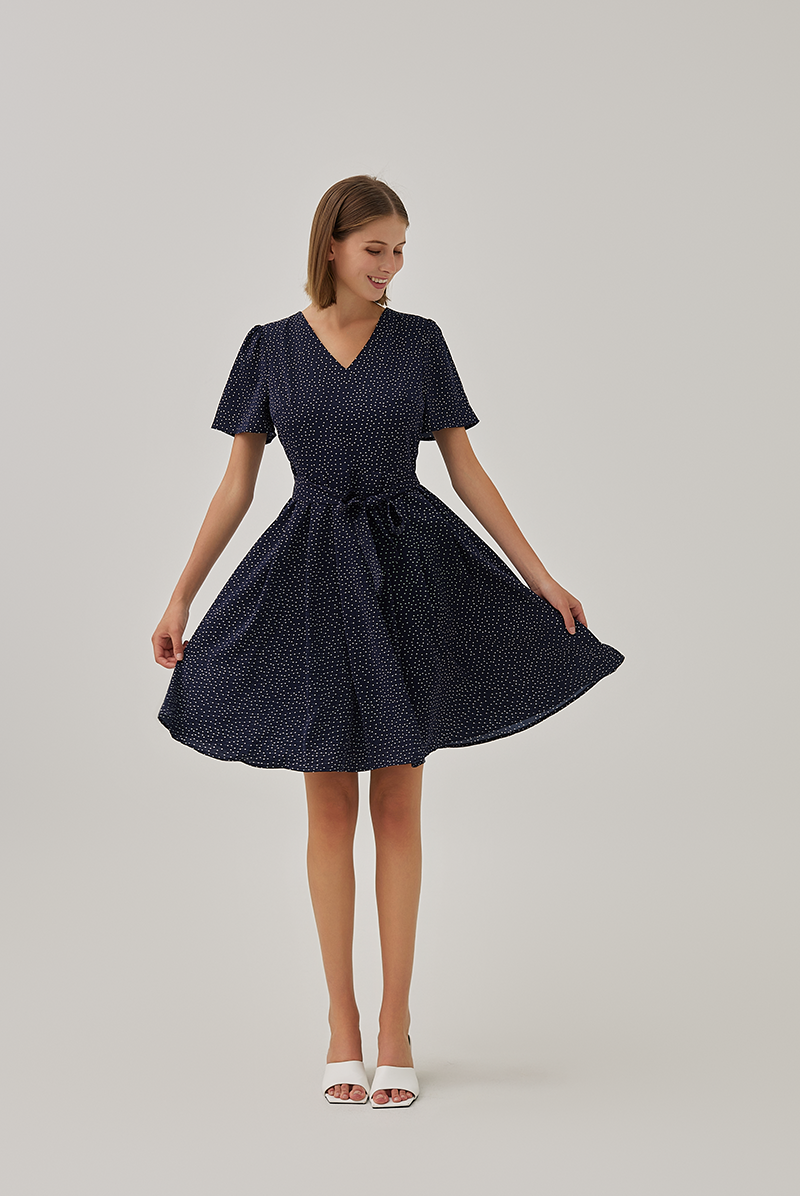 Jill Polka Dot Skater Dress in Navy Blue