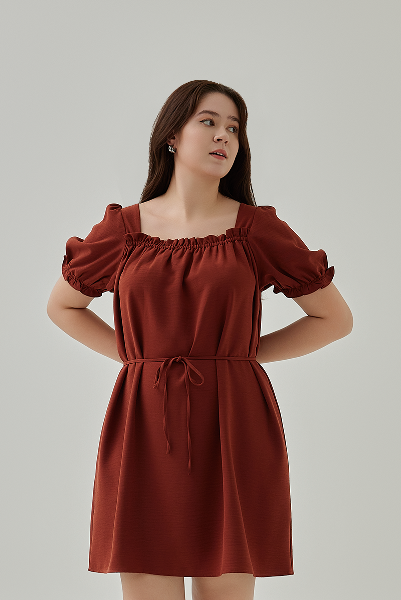 Joie Elasticated Puff Sleeves Dress in Rust XL