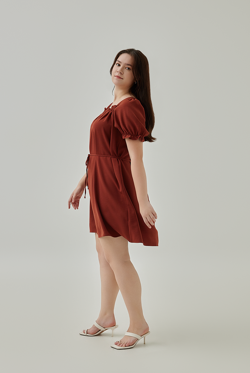 Joie Elasticated Puff Sleeves Dress in Rust XL