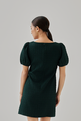 Nina Puff Sleeves Dress