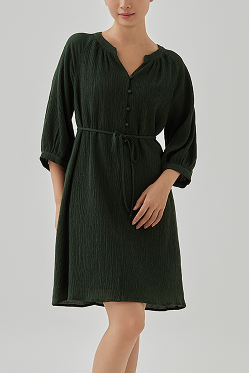 Paige Button Down Shirt Dress