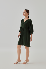 Paige Button Down Shirt Dress