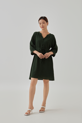 Paige Button Down Shirt Dress