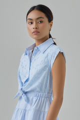 Darnia Embroidered Collared Mini Dress