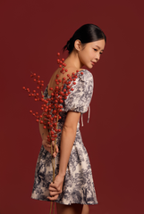 Charlotte Toile Print Mini Dress