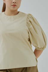 Bishop Sleeves Top
