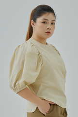 Bishop Sleeves Top