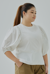 Bishop Sleeves Top