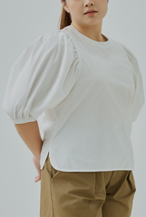Bishop Sleeves Top