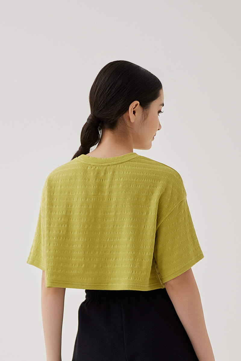 Mindy Textured Stripe Boxy Top in Pistachio