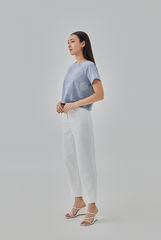 Luisa Crew Neck Cropped Top in Slate Grey