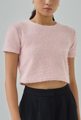 Auslyn Furry Knit Crop Top