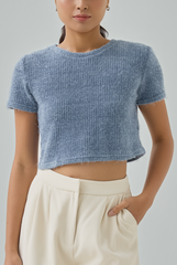 Auslyn Furry Knit Crop Top