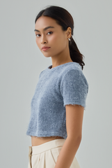 Auslyn Furry Knit Crop Top