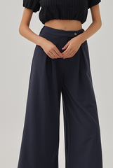 Xael Side Button Wide Leg Pants in Charcoal