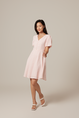 Sherry Puff Sleeve Dress in Light Pink