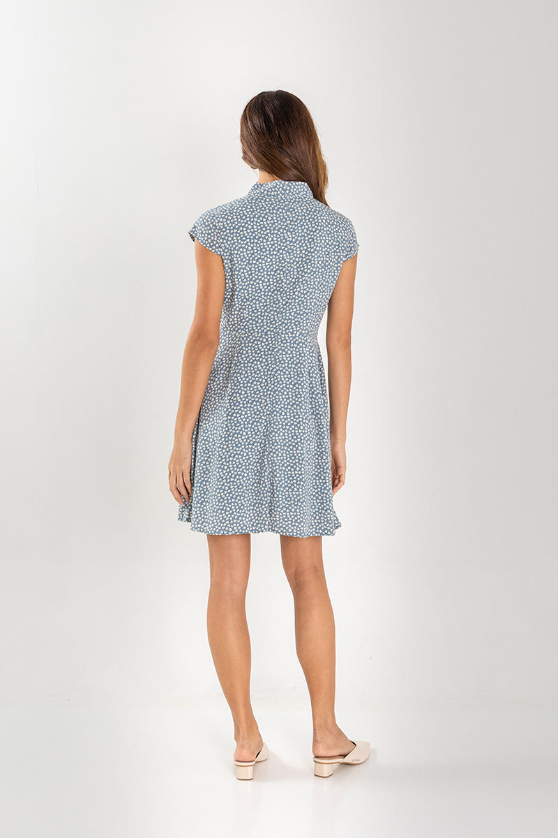 Annabelle Patterned Dress in Blue