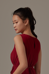Lindy Swing Dress in Burgundy