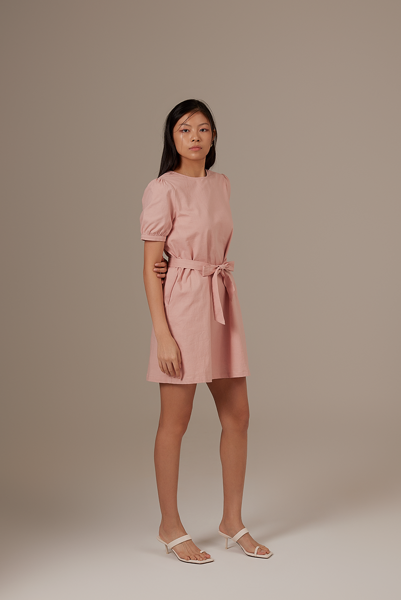 Analia Puff Sleeve Dress in Blush