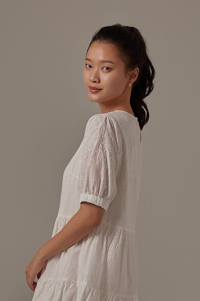 Jessine Embroidered Dress in White