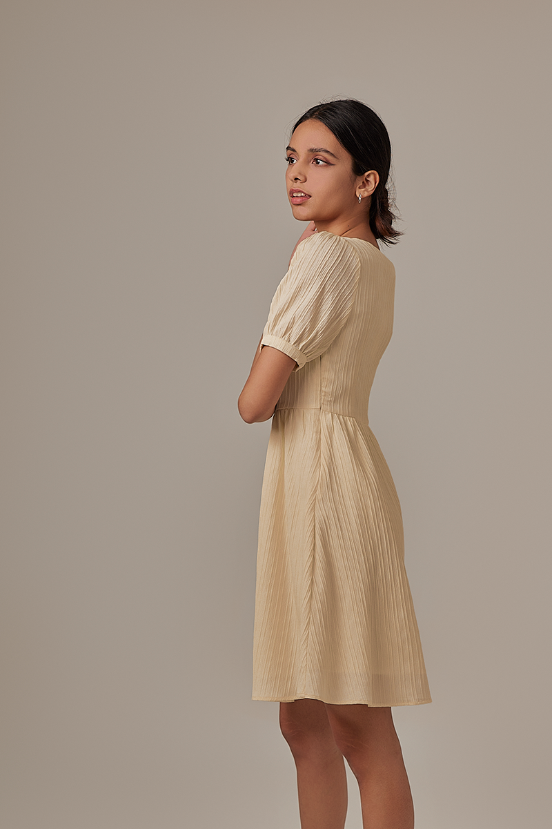 Teagan Puff Sleeves Dress in Vanilla