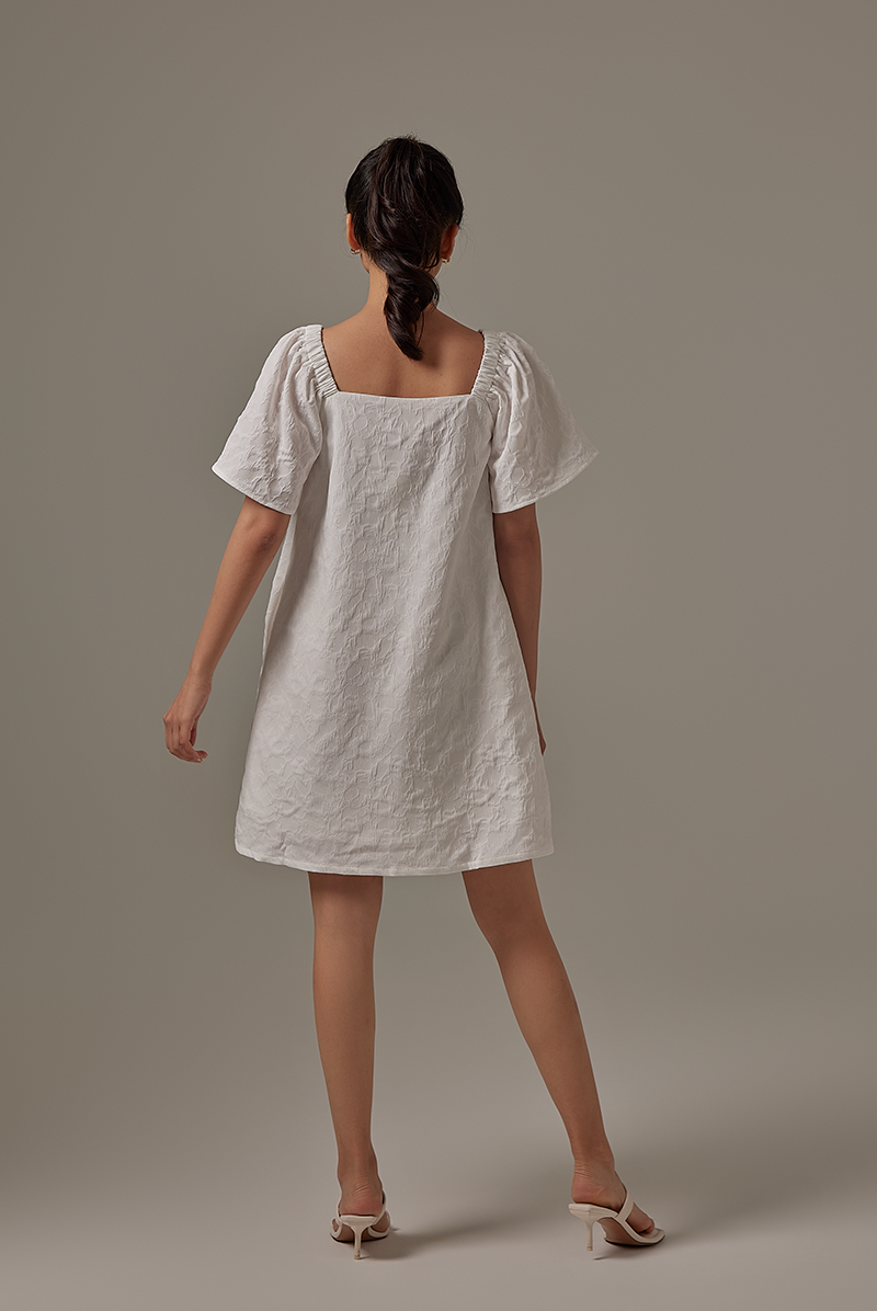 Delany Embroidered Dress in White