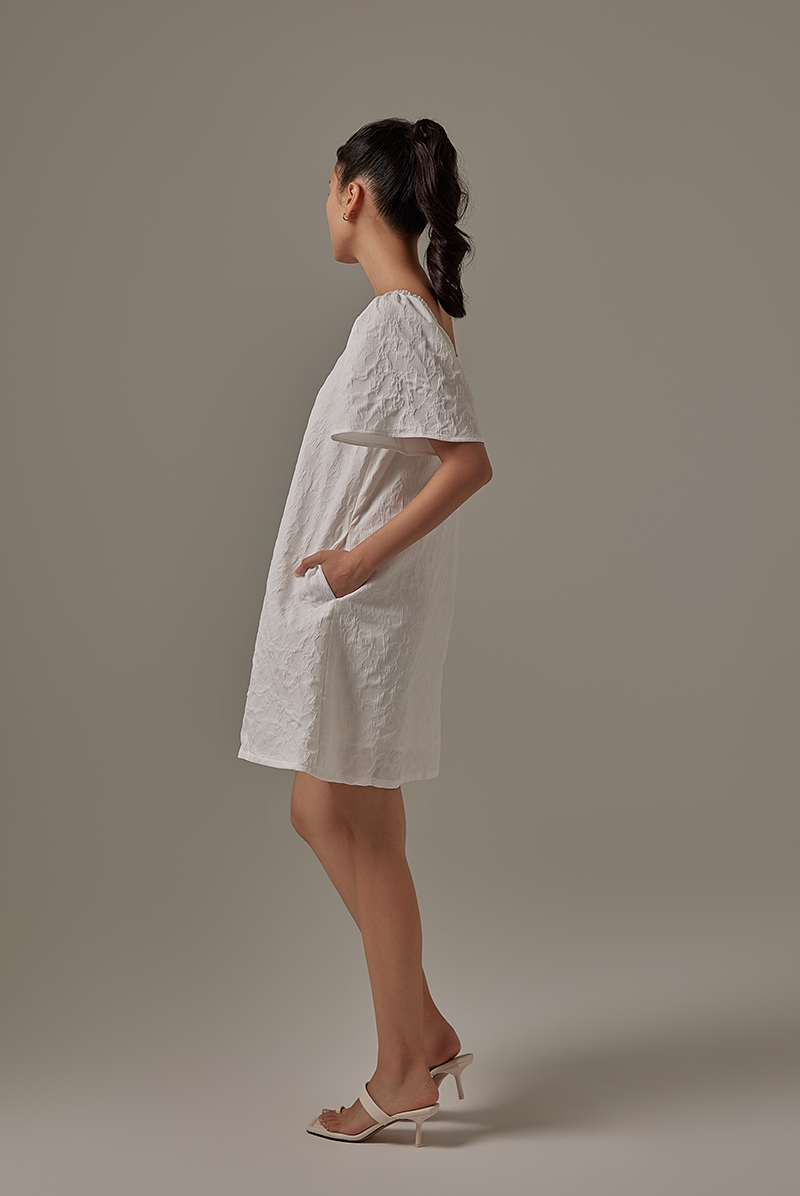 Delany Embroidered Dress in White