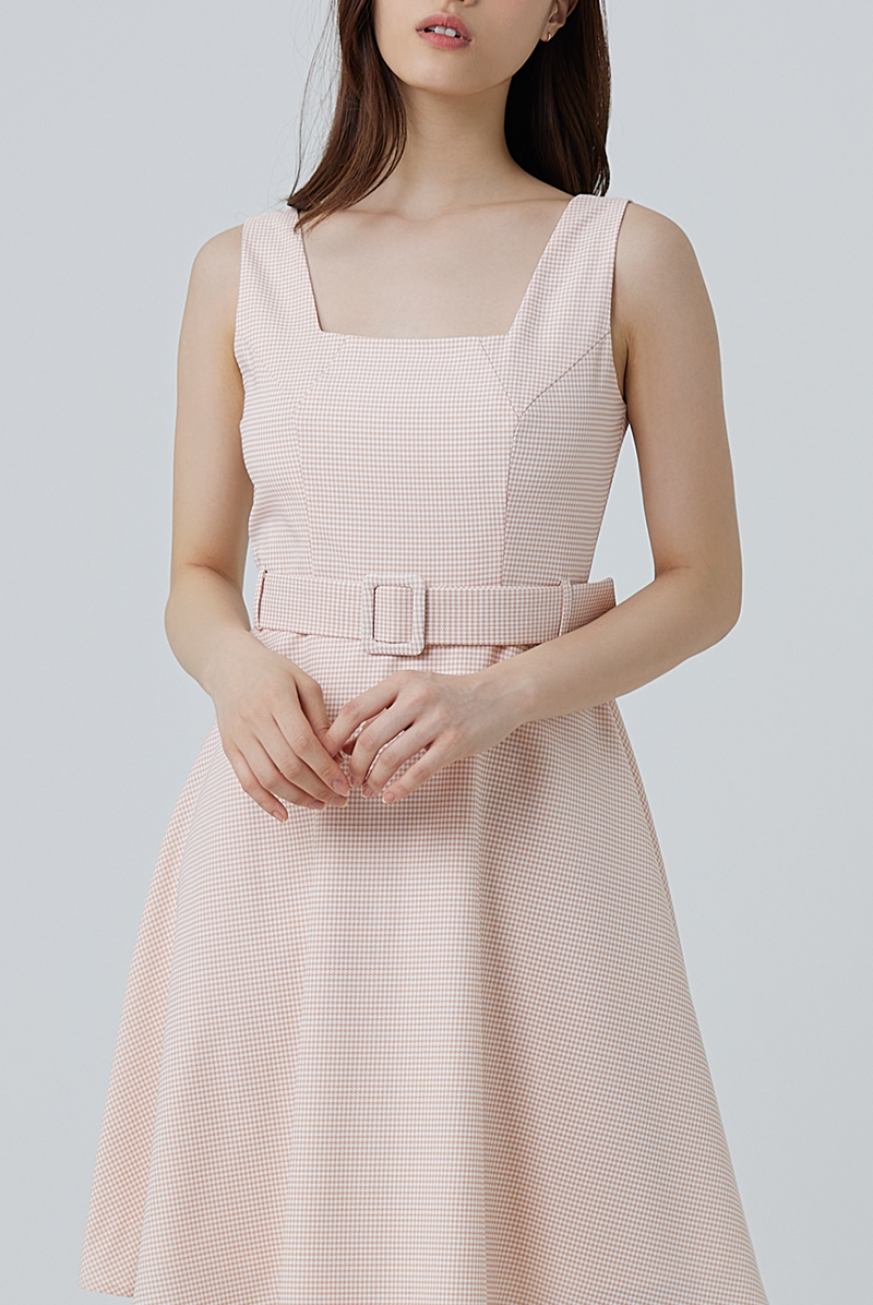 Darby Gingham Skater Dress in Pink
