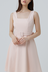 Darby Gingham Skater Dress in Pink