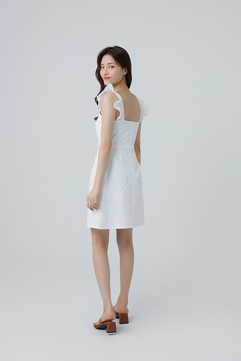 Arika Embroidered A-line Dress in White
