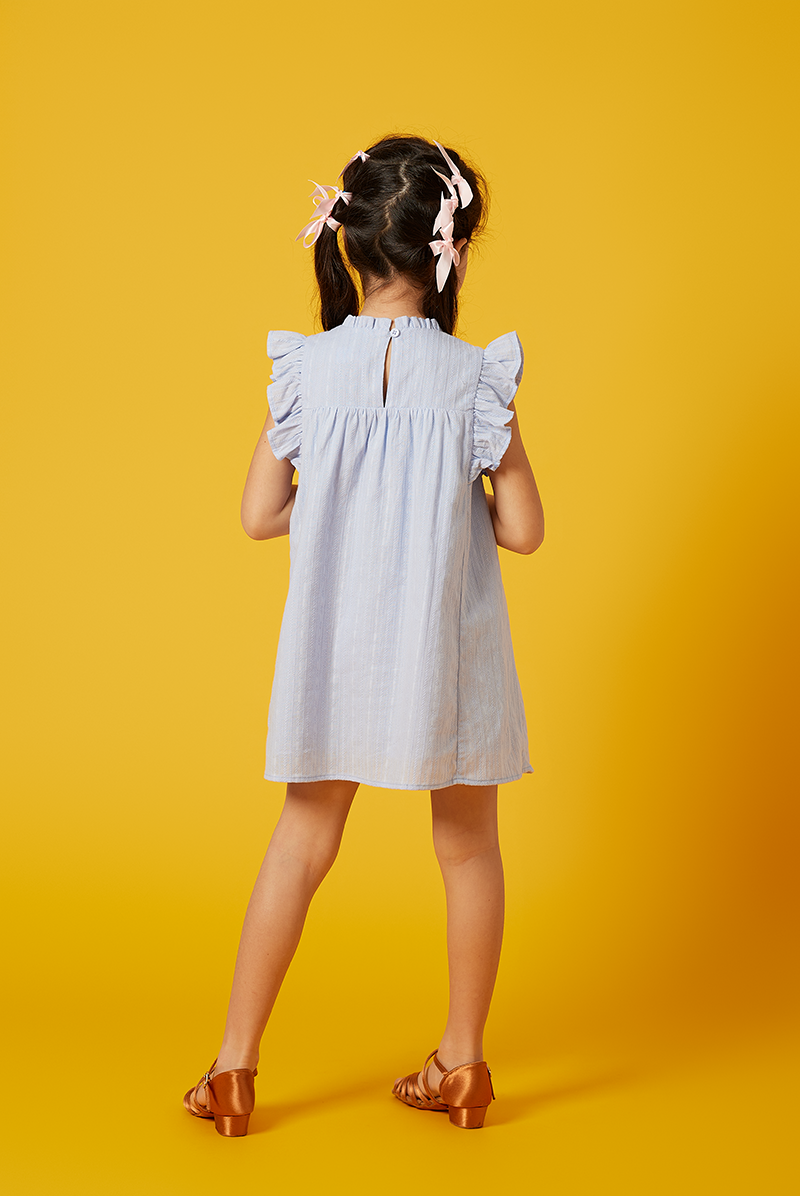 KIDS Paris Embroidery Babydoll Dress in Baby Blue
