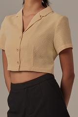 Sammy Collared Crop Top in Daffodil