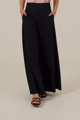 Liza Princess Seam Wide Leg Pants in Navy Blue