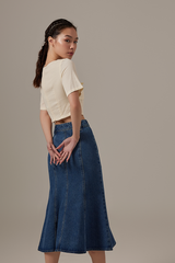 Dahlia Panel Denim Skirt in Denim Blue